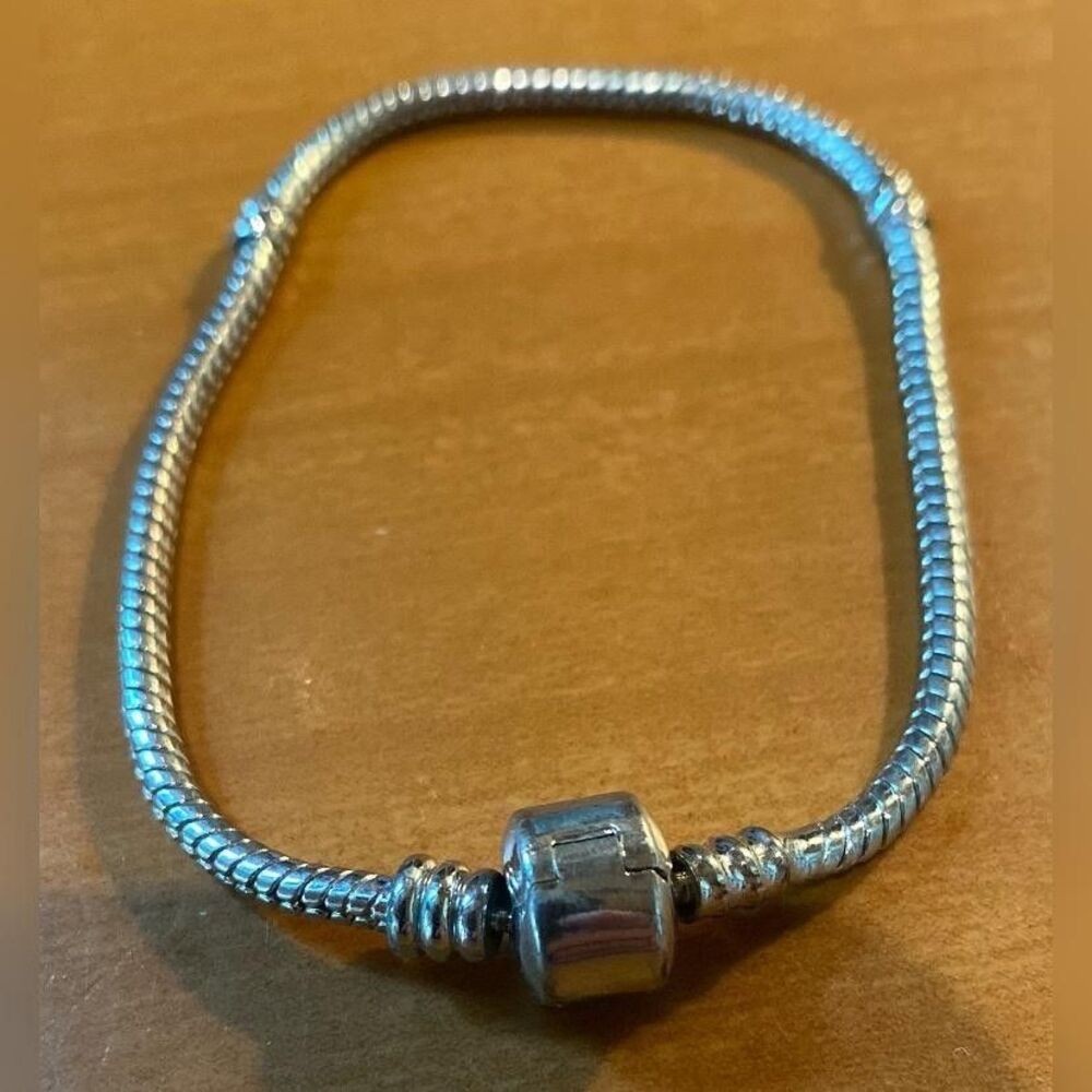 Silver Tone Snake Chain Charm Bracelet Women’s 7 Inch Barrel Clasp Jewelry